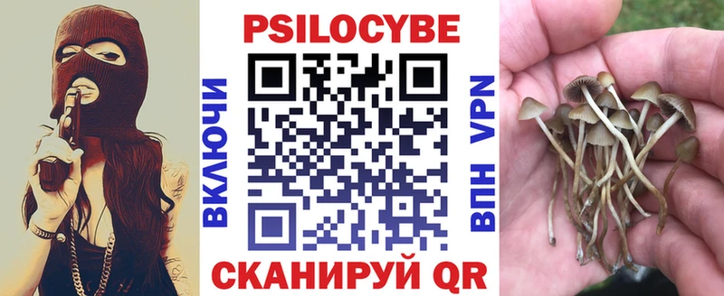 Галлюциногенные грибы Psilocybe  Донской 