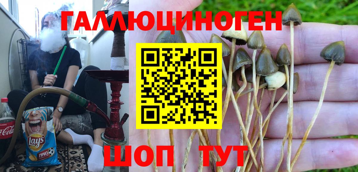 Донской  Псилоцибиновые грибы мухоморы  Вход с VPN 