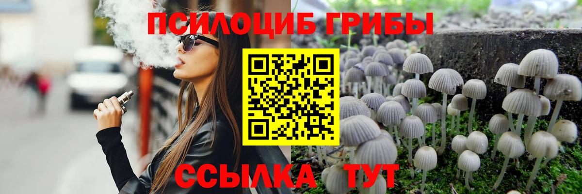 Псилоцибиновые грибы Psilocybine cubensis Донской