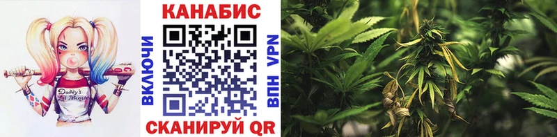 что такое наркотик  Донской  Канабис ГИДРОПОН 